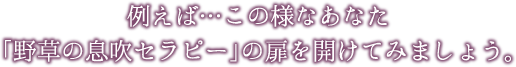 例えば…この様なあなた<br />「野草の息吹セラピー」の扉を開けてみましょう。